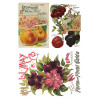 Seed Catalogue