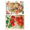 Seed Catalogue