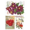 Seed Catalogue