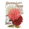 Seed Catalogue