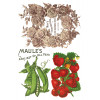 Seed Catalogue