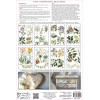 Sarah Featon's Botanicals