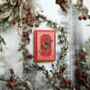 Winter Botanist
