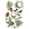 Winter Botanist