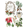 Winter Botanist