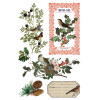 Winter Botanist