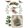 Winter Botanist