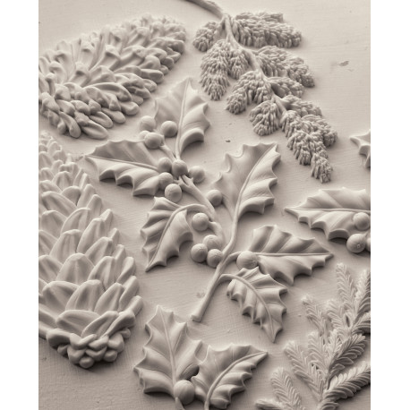 Winter Forage