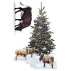 A COTSWOLD CHRISTMAS