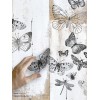 Butterflies