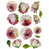 Painterly Florals