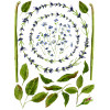 Painterly Florals