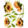 Painterly Florals