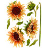Painterly Florals